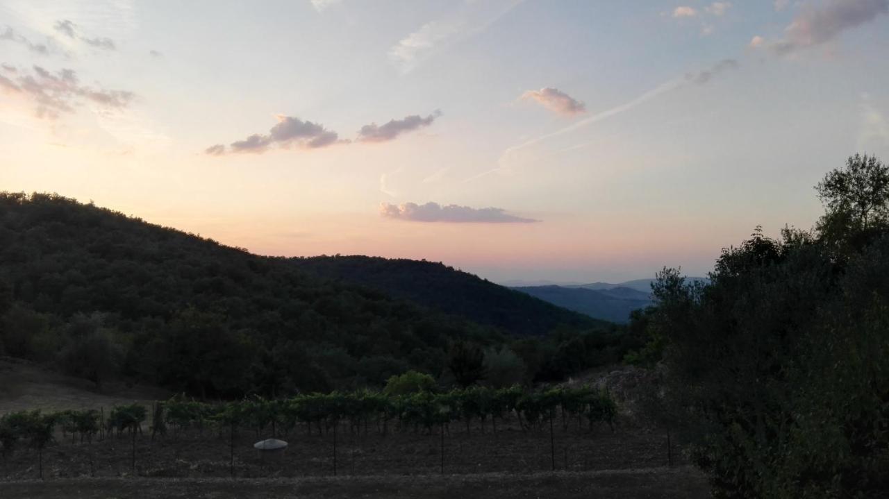 Sandra House Apartment Castellina in Chianti Exterior photo