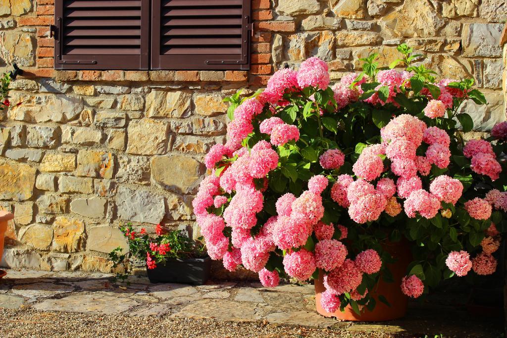 Sandra House Apartment Castellina in Chianti Exterior photo