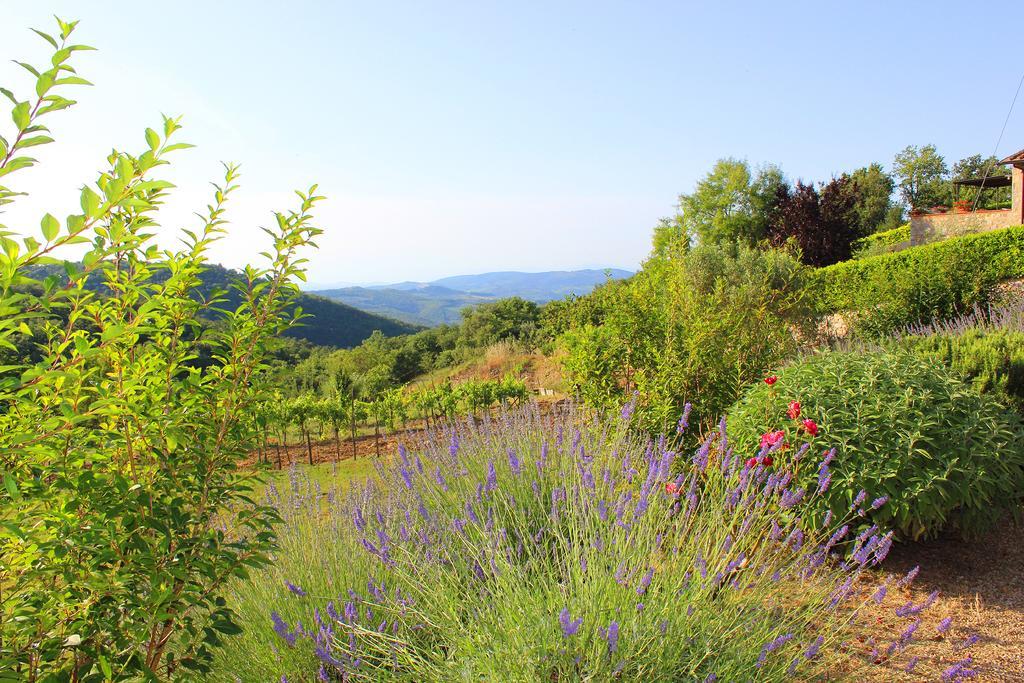 Sandra House Apartment Castellina in Chianti Exterior photo